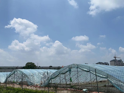 恩拓博高速增氧機(jī)上海使用案例！